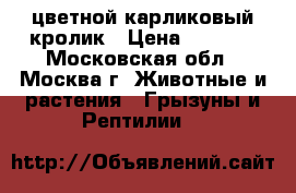 цветной карликовый кролик › Цена ­ 1 000 - Московская обл., Москва г. Животные и растения » Грызуны и Рептилии   